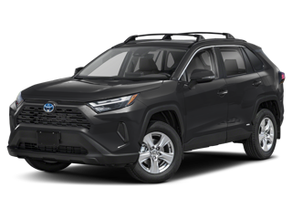 RAV4 XLE Jellybean Image