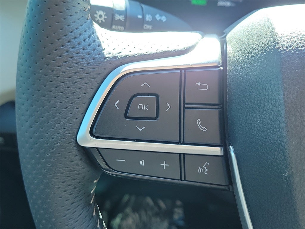 2025 Toyota Sienna Platinum 7 Passenger